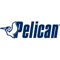 Pelican International inc