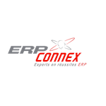 ERP Connex Inc