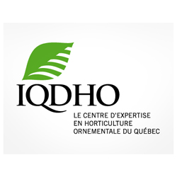 IQDHO