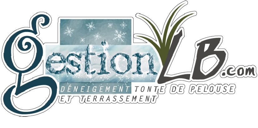 Gestion LB Gestion LB