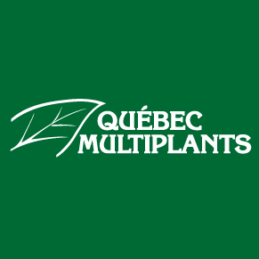 Quebec Multiplants Enr. Quebec Multiplants Enr.