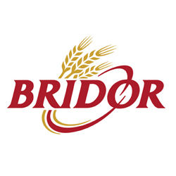 Bridor Inc