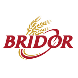 Bridor Inc Bridor Inc