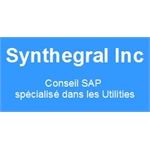 SYNTHEGRAL INC