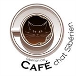 Café chat Sibérien