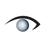 Online Vision Online Vision
