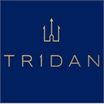 TRIDAN INC TRIDAN INC