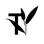 Teaology Skincare Teaology Skincare