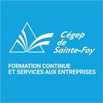 DFCSAE Cégep de Sainte-Foy