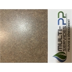 Multi-Services PP inc Multi-Services PP inc