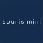 Souris mini