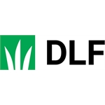 DLF Canada DLF Canada