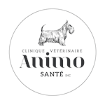 Clinique vétérinaire Animo Santé, Inc