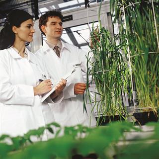 Les carrières en agriculture : une occasion de changer les choses