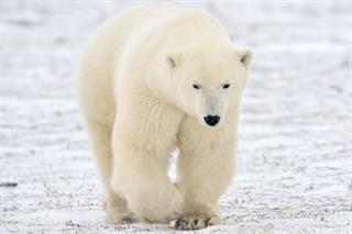 Des emplois en construction à Cambridge Bay au Nunavut